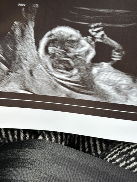 Due September 4.5 🐣♥️🧡💜