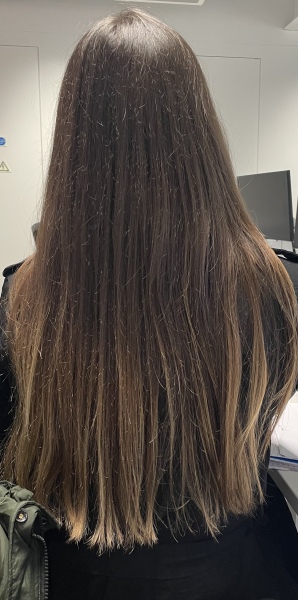 To dye or leave?!
