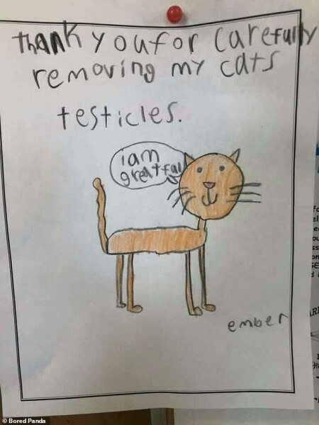 Mumsnetter @rafaisthekingofclay is in hospital NEEDS MEMES (edited by MNHQ at request of OP)