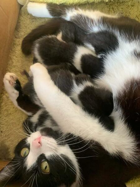 Cancer Support Thread 93 - The Thread for the Dread and the Not Yet Dead? Everything you need to know about Cancer but didn’t want to know