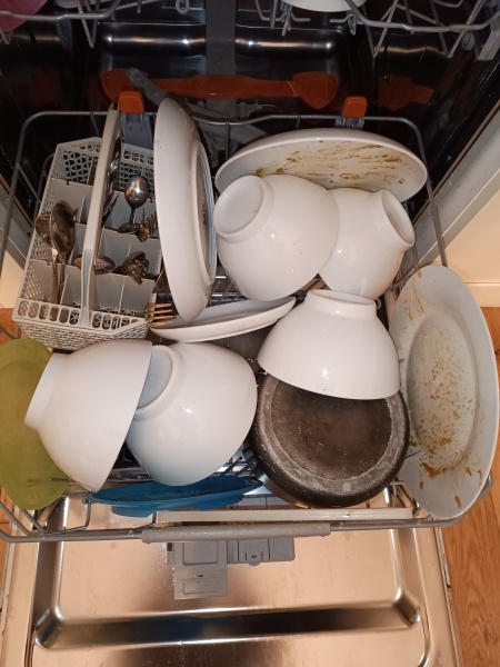 If your nearest-and-dearest packed the dishwasher like this ...