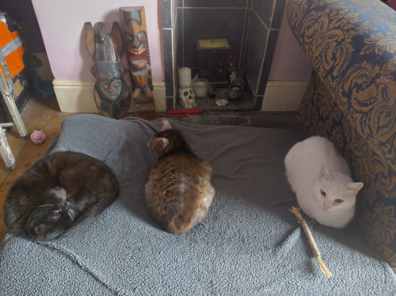 Tales and Tails and NMCs  -  the Excellent Cats March On