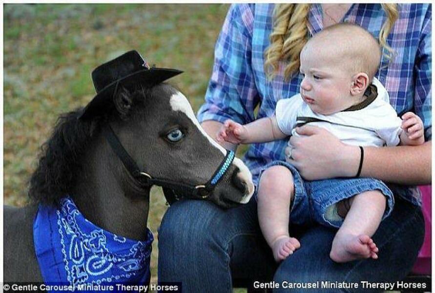 Strange things that give you the heebie jeebies?