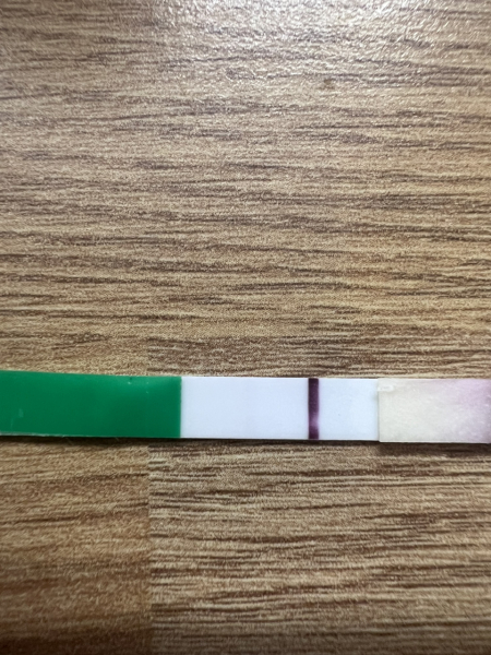 TTC April 2024…Christmas Babies! ❤️✨