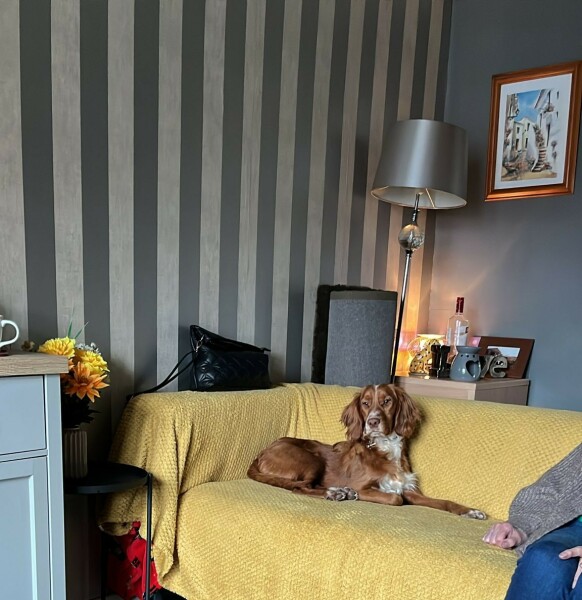 Puppy Survival Thread for New and Old Pups - Spring is around the corner!