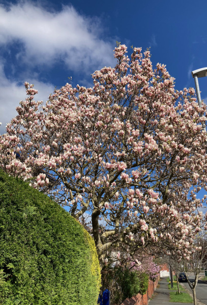 Thread 12 - TalkLair: “I say we take off and nuke the entire site from orbit. It's the only way to be sure.”