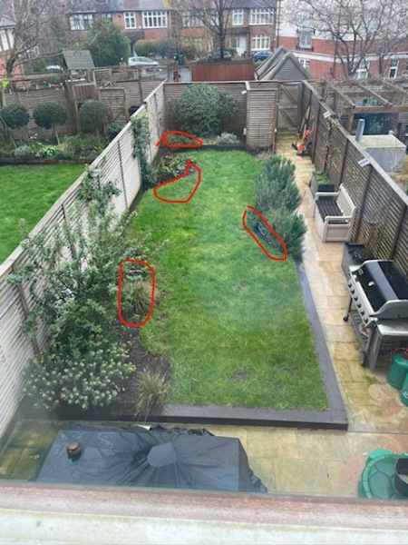 Was it the gardeners? Help me solve this mystery please