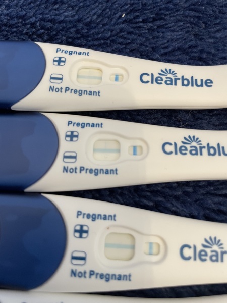 Potentially pregnant