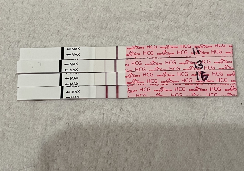 TTC Active Letrozole Thread