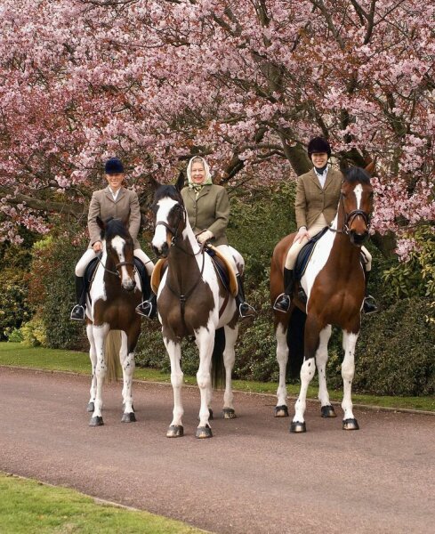 Royal Photographers and their iconic photographs: the best of the best