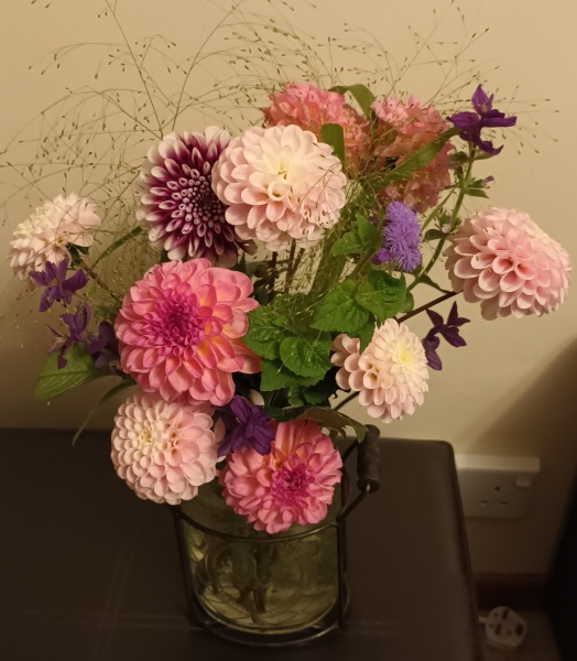 Is anyone ready to be excited about dahlias yet?