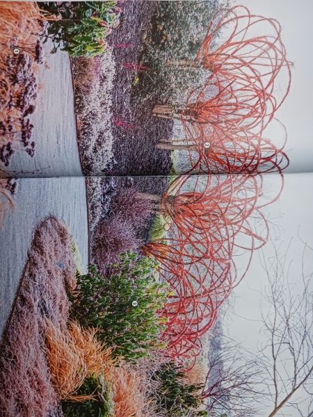 Inspiration pictures