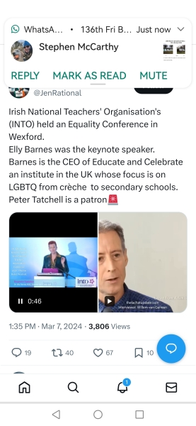 Gender Critical in Ireland Part 3