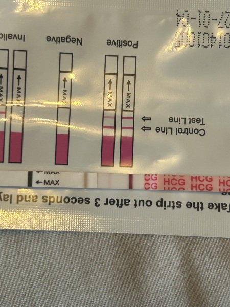 BFP or bad Evap? Wondfo tests 12dpo