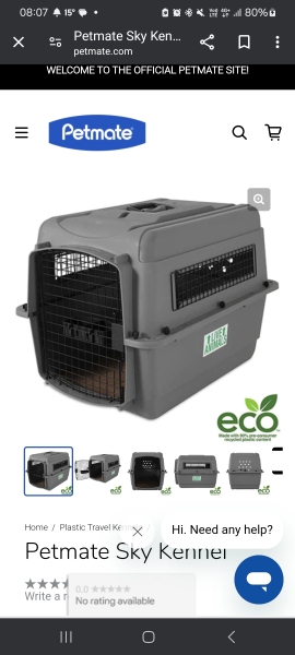 Cat Travelling By Air - Cabin vs Cargo