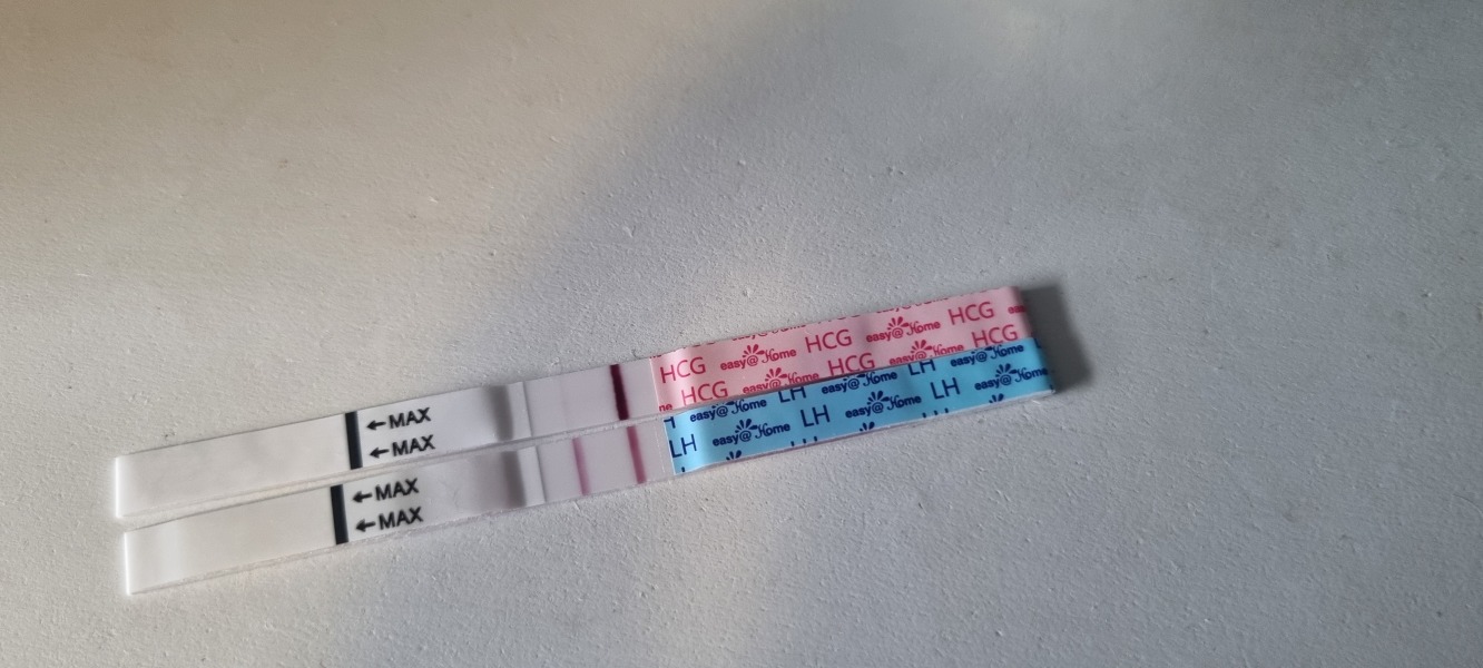 CD1 ttc after loss carry on thread #3