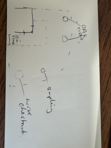 New garden - help planning? Diagram included!!