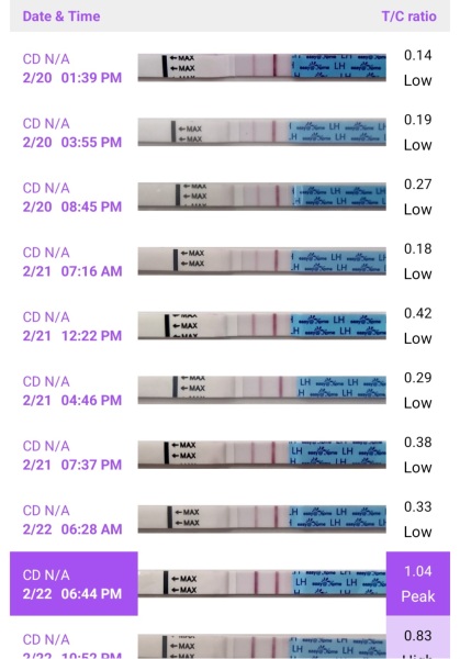 Why does getting pregnant need to be this hard?