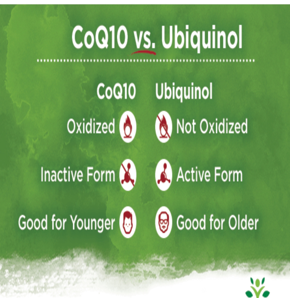 Coq10 - what are your thoughts