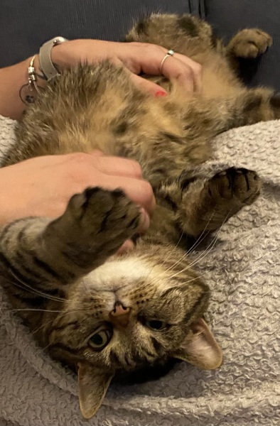 Familiar Friends in Frugality(Feb 24>)