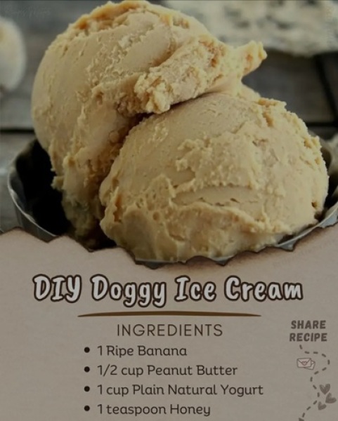 Dog Friendly Ice Cream