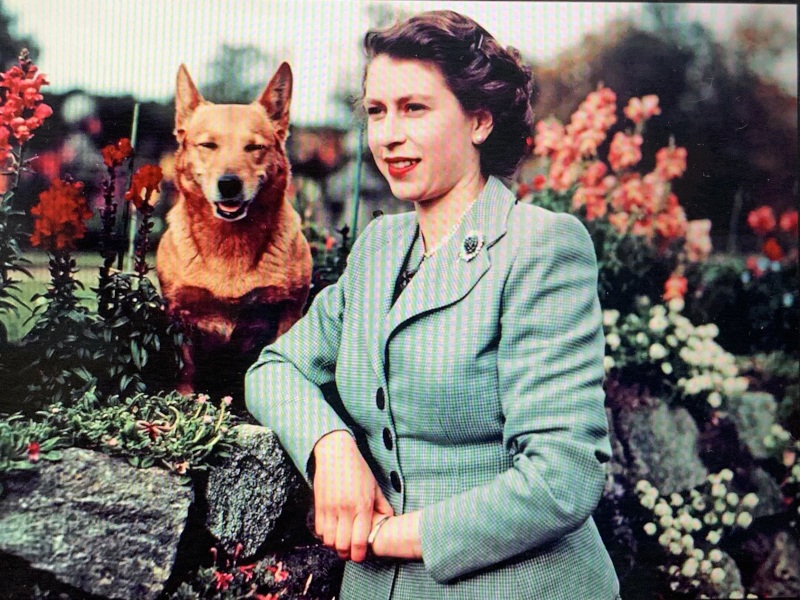 Royal Photographers and their iconic photographs: the best of the best