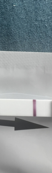 TTC April 2024…Christmas Babies! ❤️✨