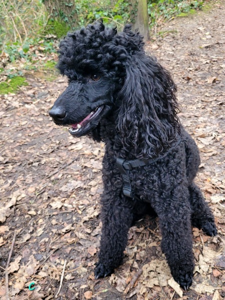 An age one