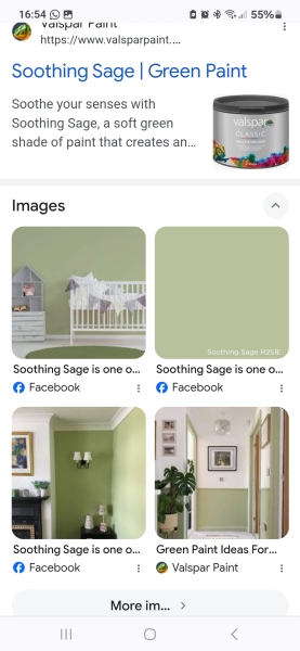 Sage green, not a dark one. Any recommendations?
