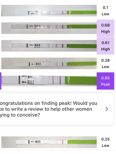 Would you say these are positive OPK's?