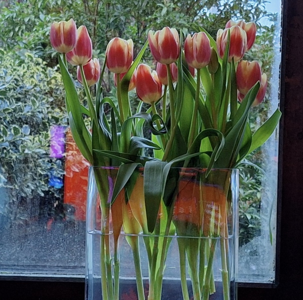 Come and tell me your dull and unexciting news 29: Calmly through the day