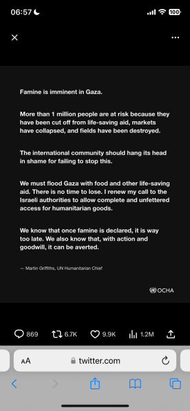 IDF statement on Aid Convoy Stampede