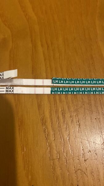 Positive ovulation test 