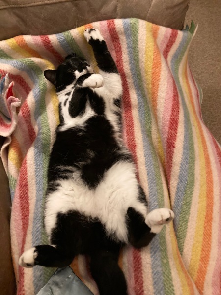 Thread 12 - TalkLair: “I say we take off and nuke the entire site from orbit. It's the only way to be sure.”