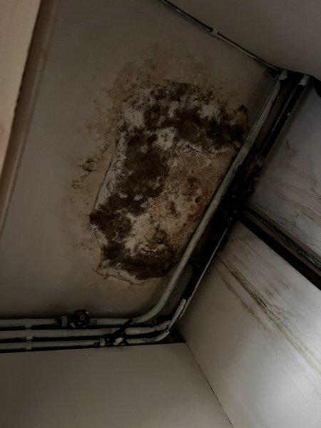 I caused a water leakage downstairs, what is fair way to solve it?