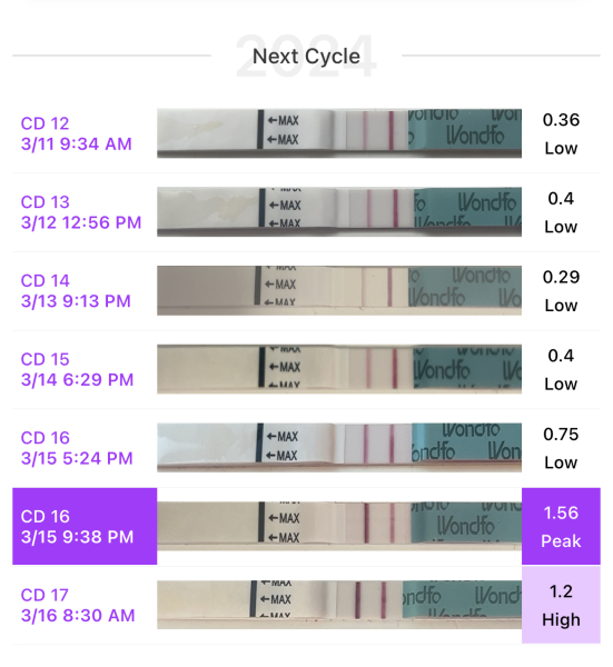 CD1 entering 3rd month TTC (next fertile window 8th - 17th march)