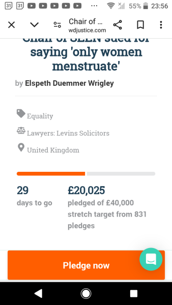 The chair of SEEN is being sued.