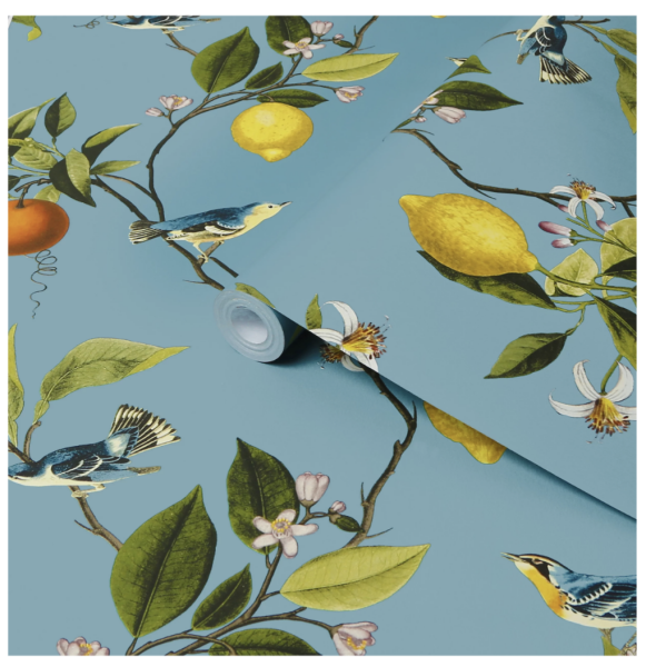 What's the most beautiful wallpaper you've seen?