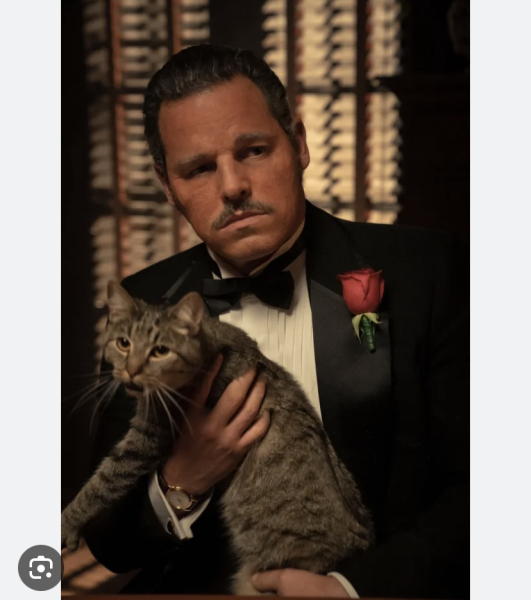 Grey's Anatomy rewatch