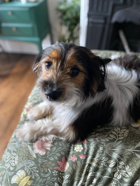 Familiar Friends in Frugality(Feb 24>)