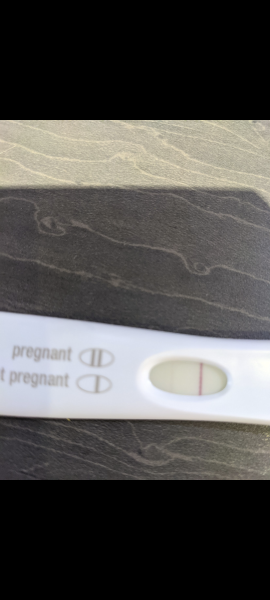 TWW... starting now!