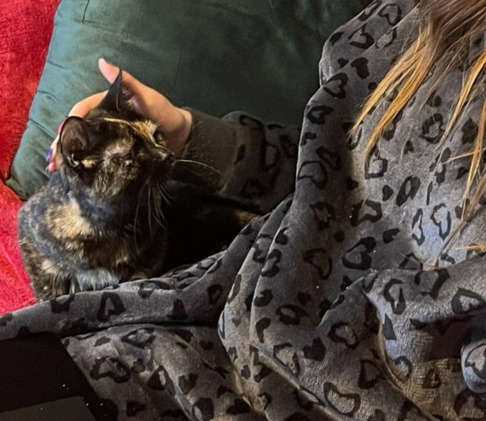 My poor kitten is going downhill - scared