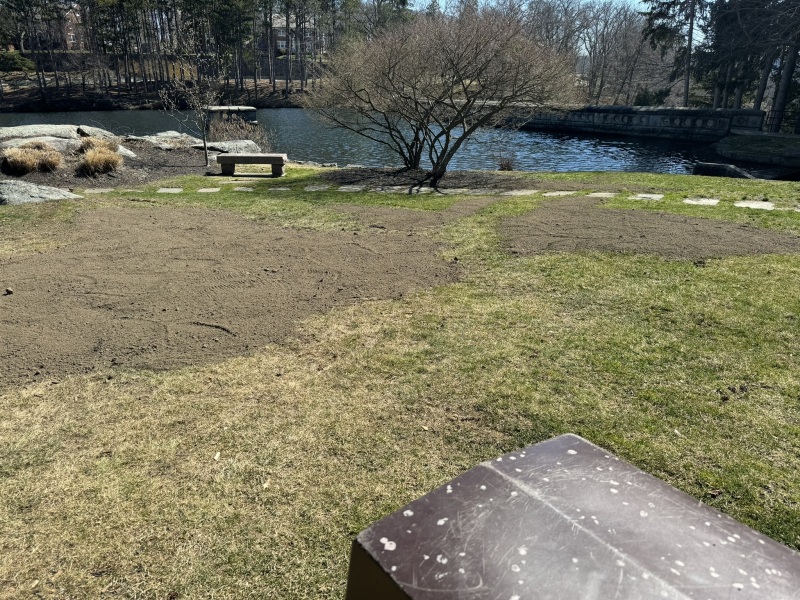 Come and tell me your dull and unexciting news 29: Calmly through the day