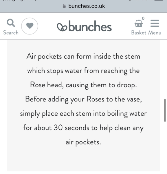 Why are my cut roses dropping after 1 day?