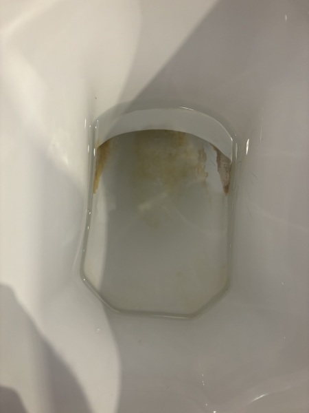 Limescale in Toilet