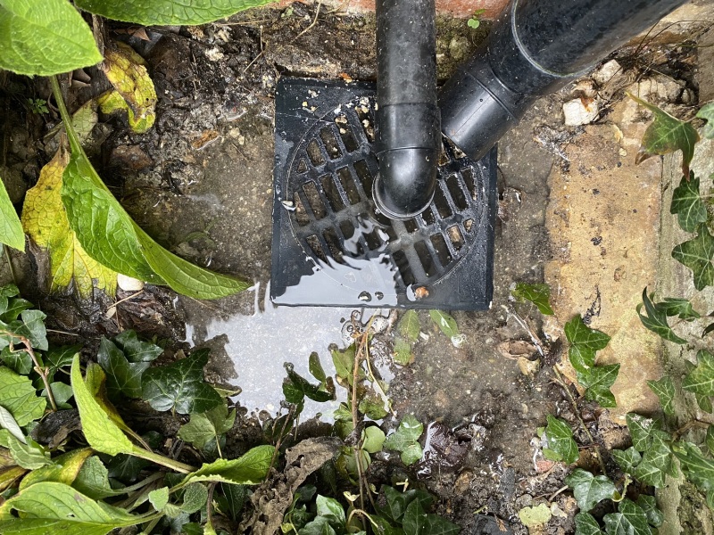 How to remove this drain cover