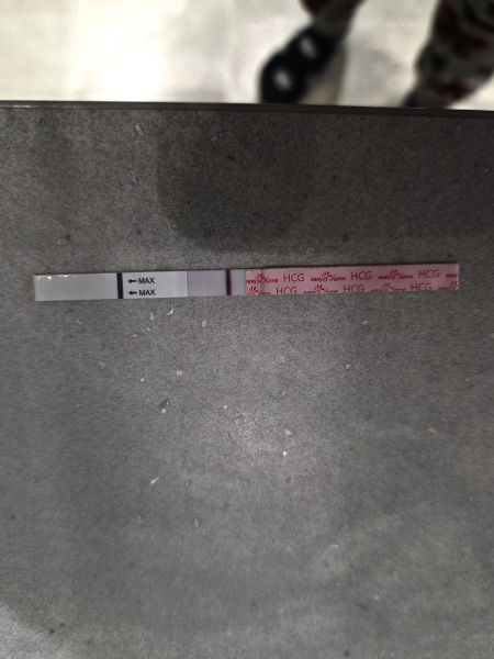 TTC February 2024 ✨