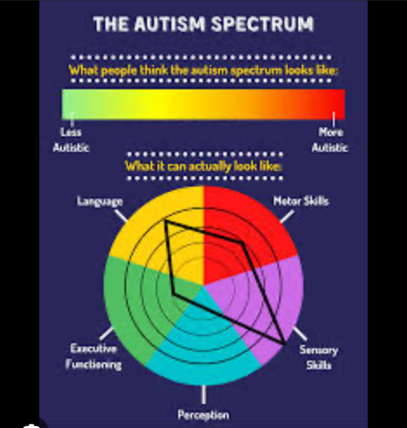 To be terrified DD might have ASD?