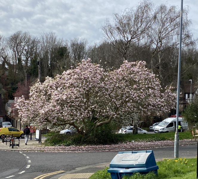 Thread 12 - TalkLair: “I say we take off and nuke the entire site from orbit. It's the only way to be sure.”