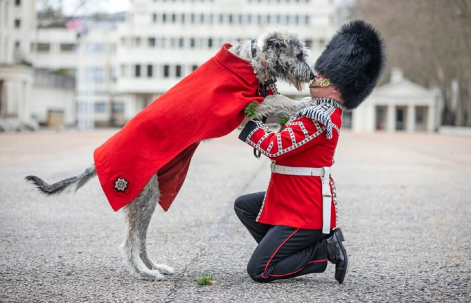 Royal Photographers and their iconic photographs: the best of the best